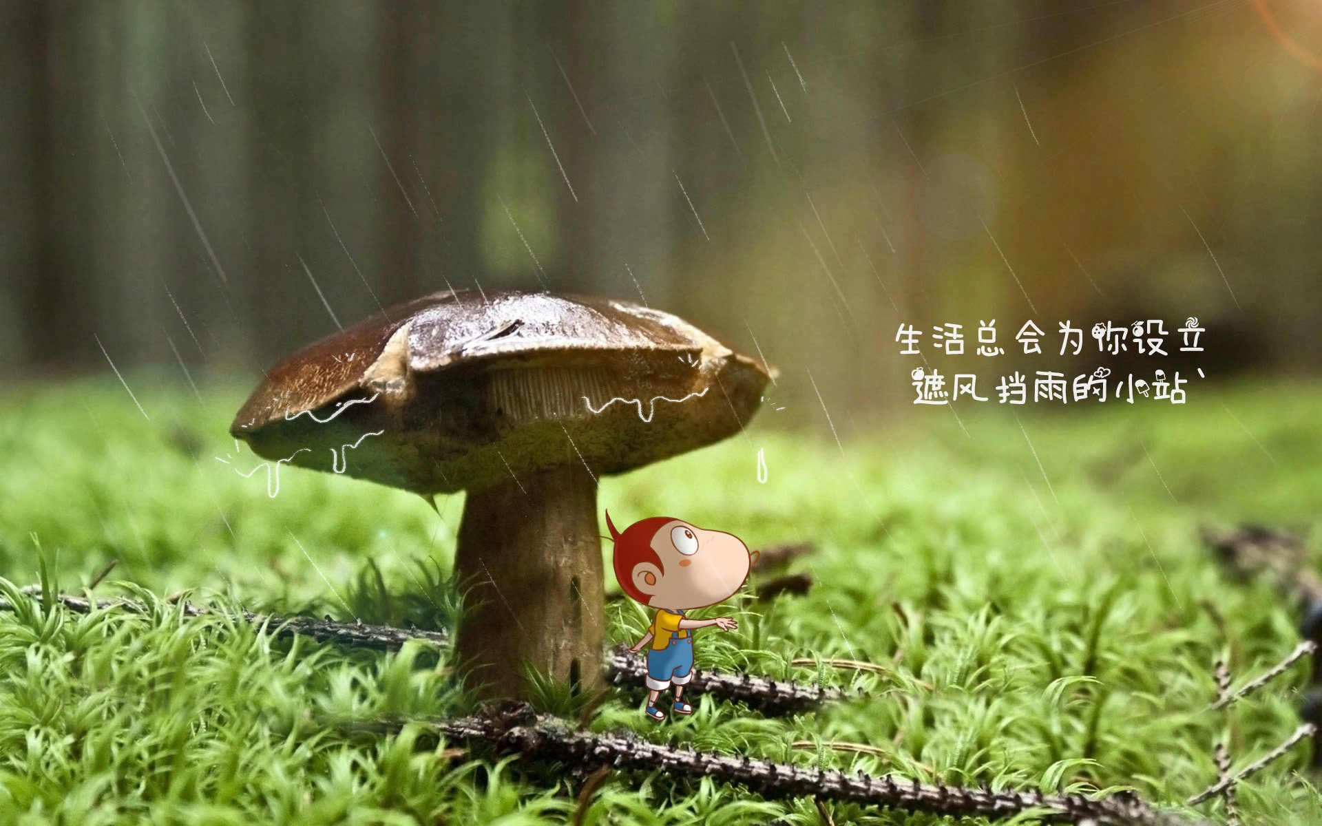 女足世界杯全球传播效果显著，足球女足世界杯