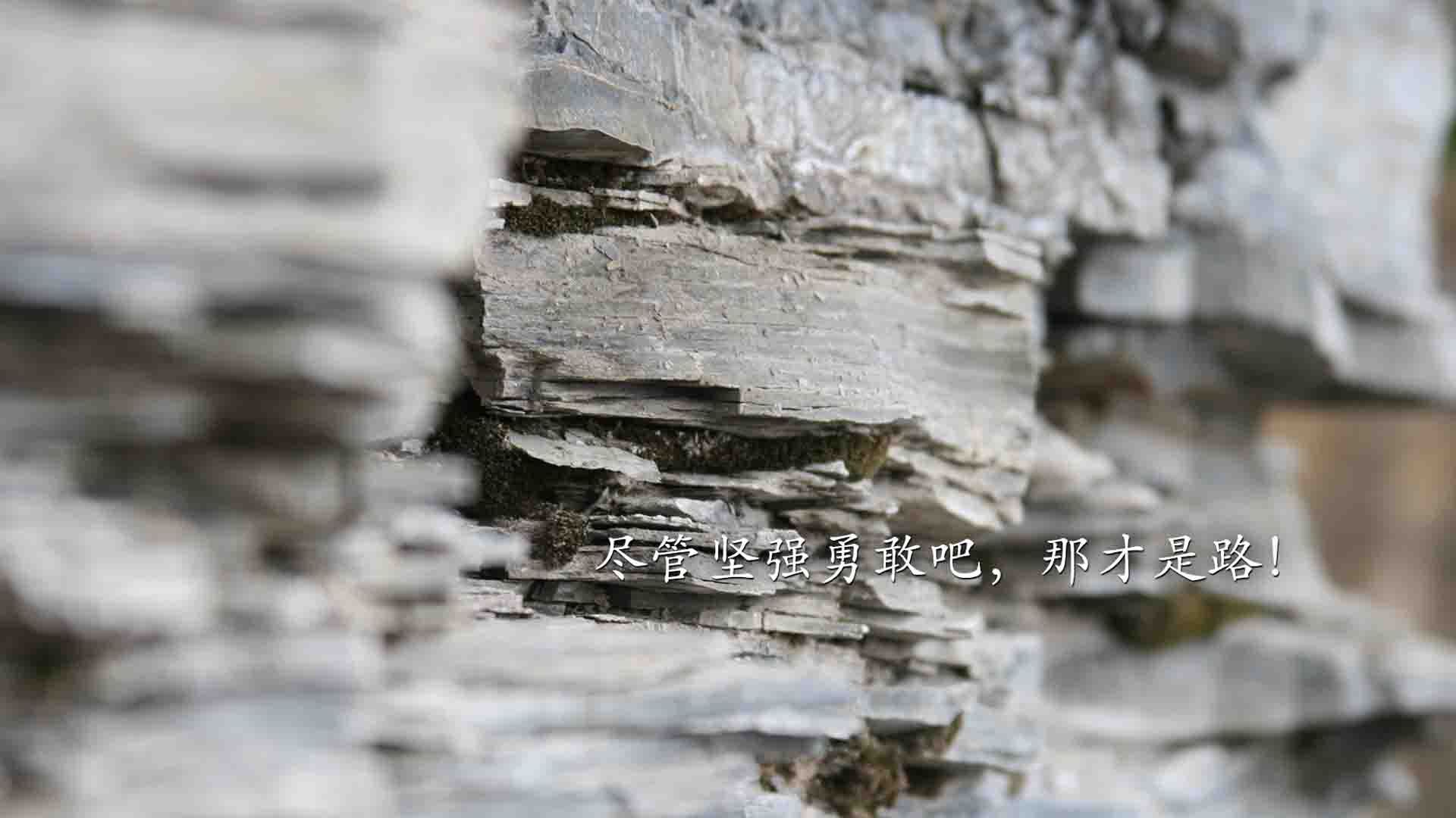爱游戏综合娱乐-德甲强队多特蒙德签下意大利前锋，实力大增，多特蒙德在德甲地位