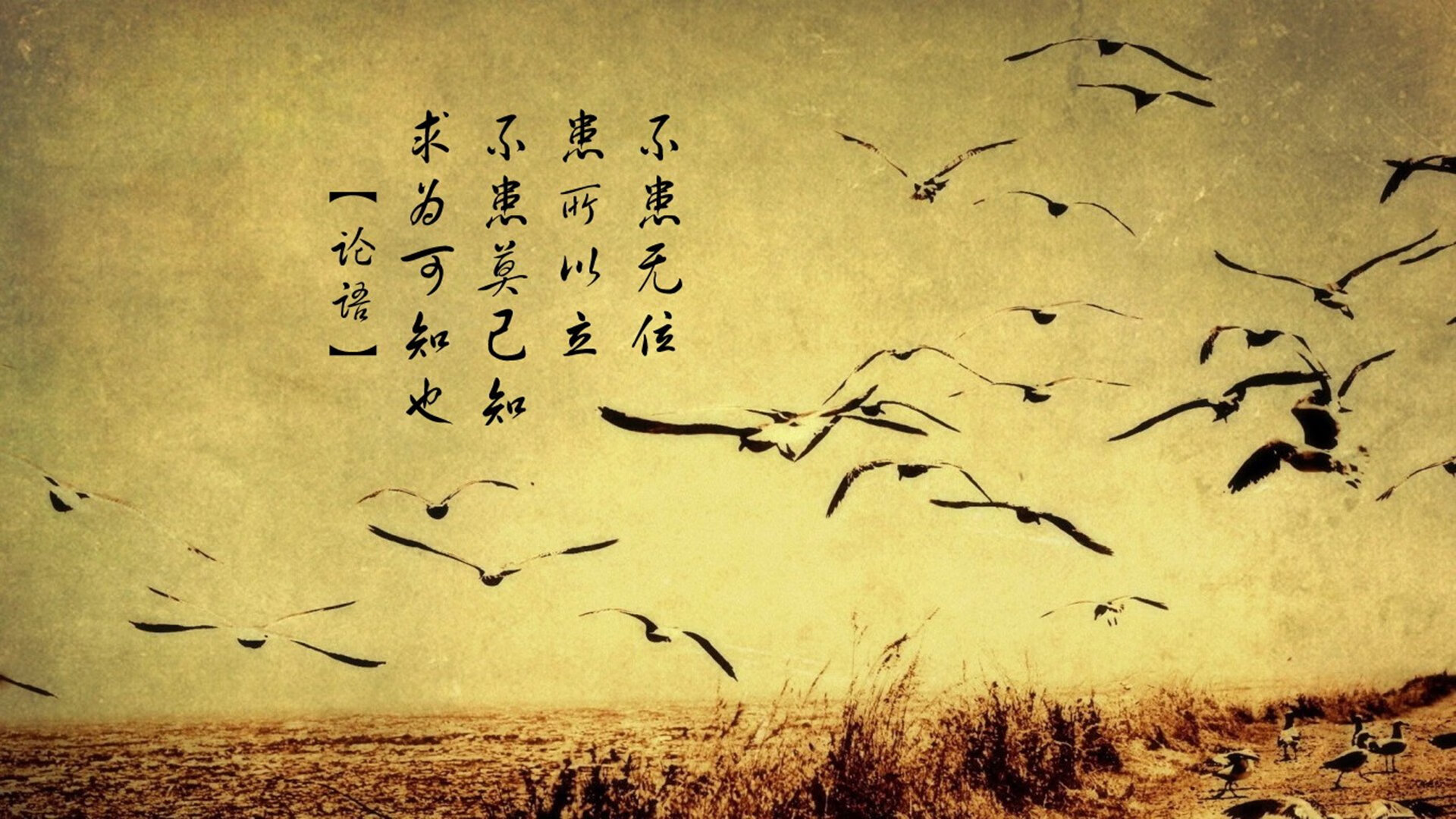 意甲球员赛后心率变异性监测指导训练恢复方案，心率变异性参数正常值