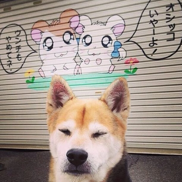 “台球激战：天府校区体育馆赛场上的精准与技巧”