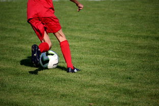 爱游戏体育APP下载-体育新闻中心发布体育短视频内容运营新策略，体育短视频存在的问题