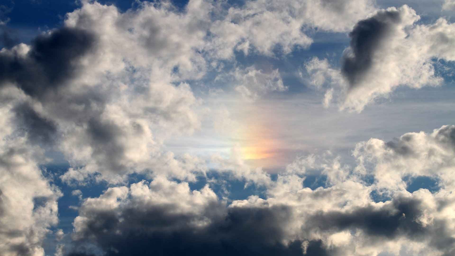 外教引进成效为何始终不明显，外教引入政策