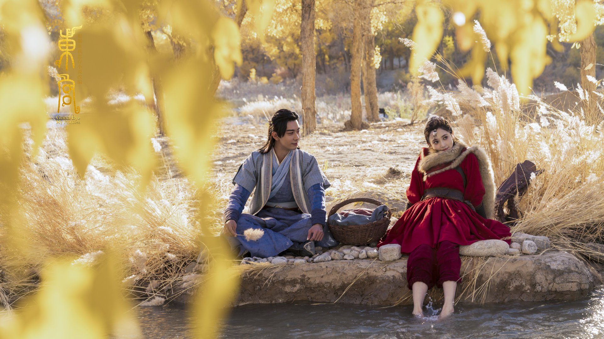 男子蛙泳冠军划水距离高达2.45米，男子蛙泳运动员标准