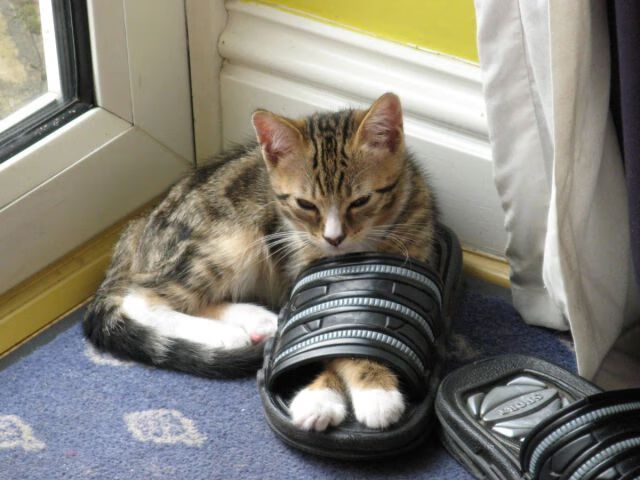 冬奥会开幕式倒计时进入一周，2022年冬奥会开幕式倒计时