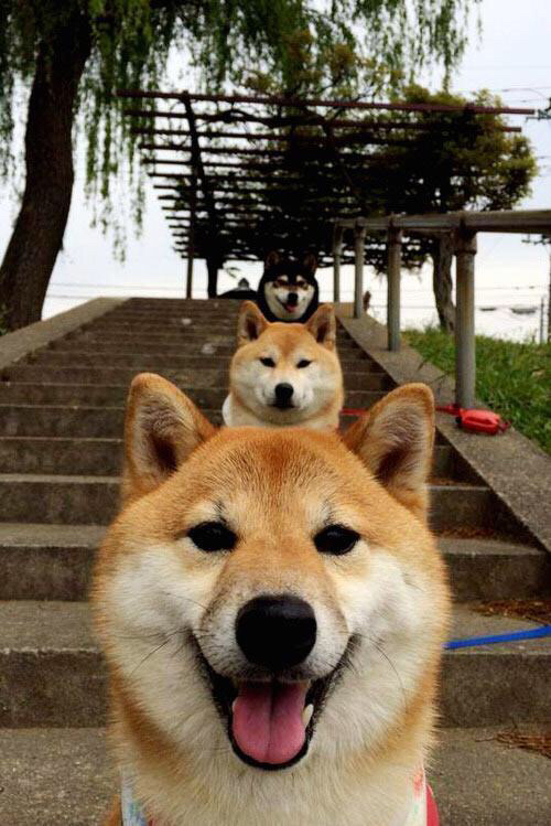 爱游戏体育（AYX）官方APP下载-南非跳水动作细节打动评委，南非跳什么舞