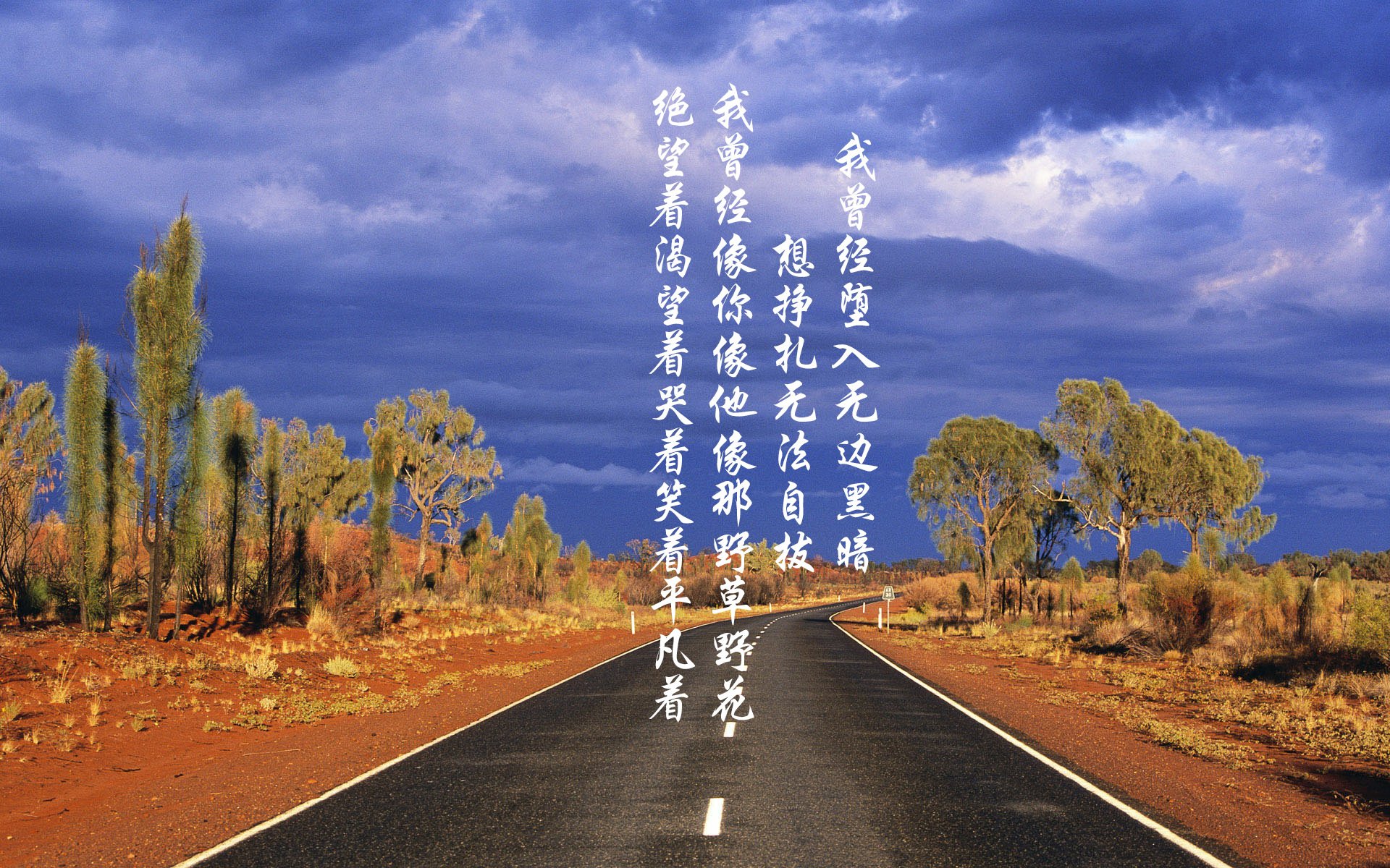 希腊女篮在欧洲锦标赛中再夺金牌，荣耀不断传承，希腊女子篮球超级联赛ds