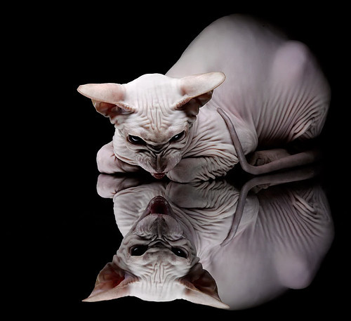 极限运动挑战赛现场气氛火爆吸引万人围观，极限运动锦集