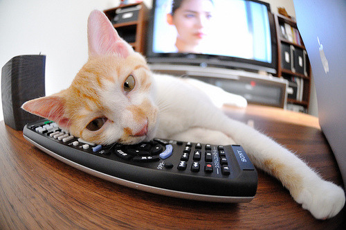 爱游戏体育平台-胡贝特·科斯男子200米个人混合泳表现抢眼，200米混合泳决赛男子