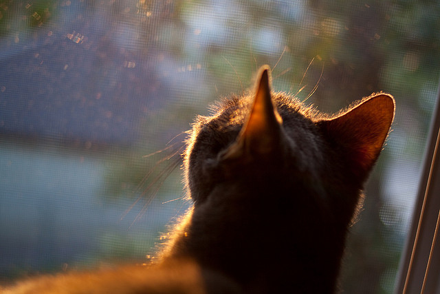 爱游戏体育官方网站-西甲火热对抗：攻守激烈，精彩纷呈！，西甲榜首大战