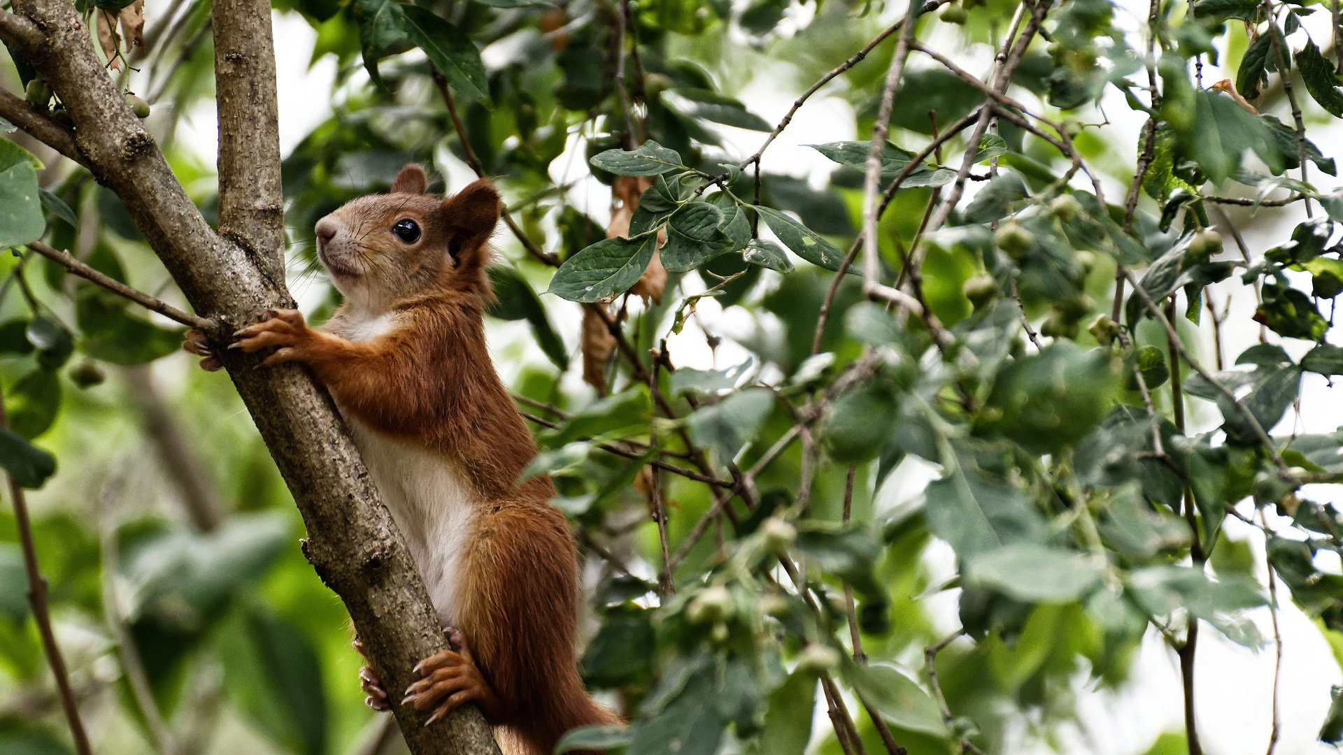青训营结合科技手段完善训练反馈机制，青训课程